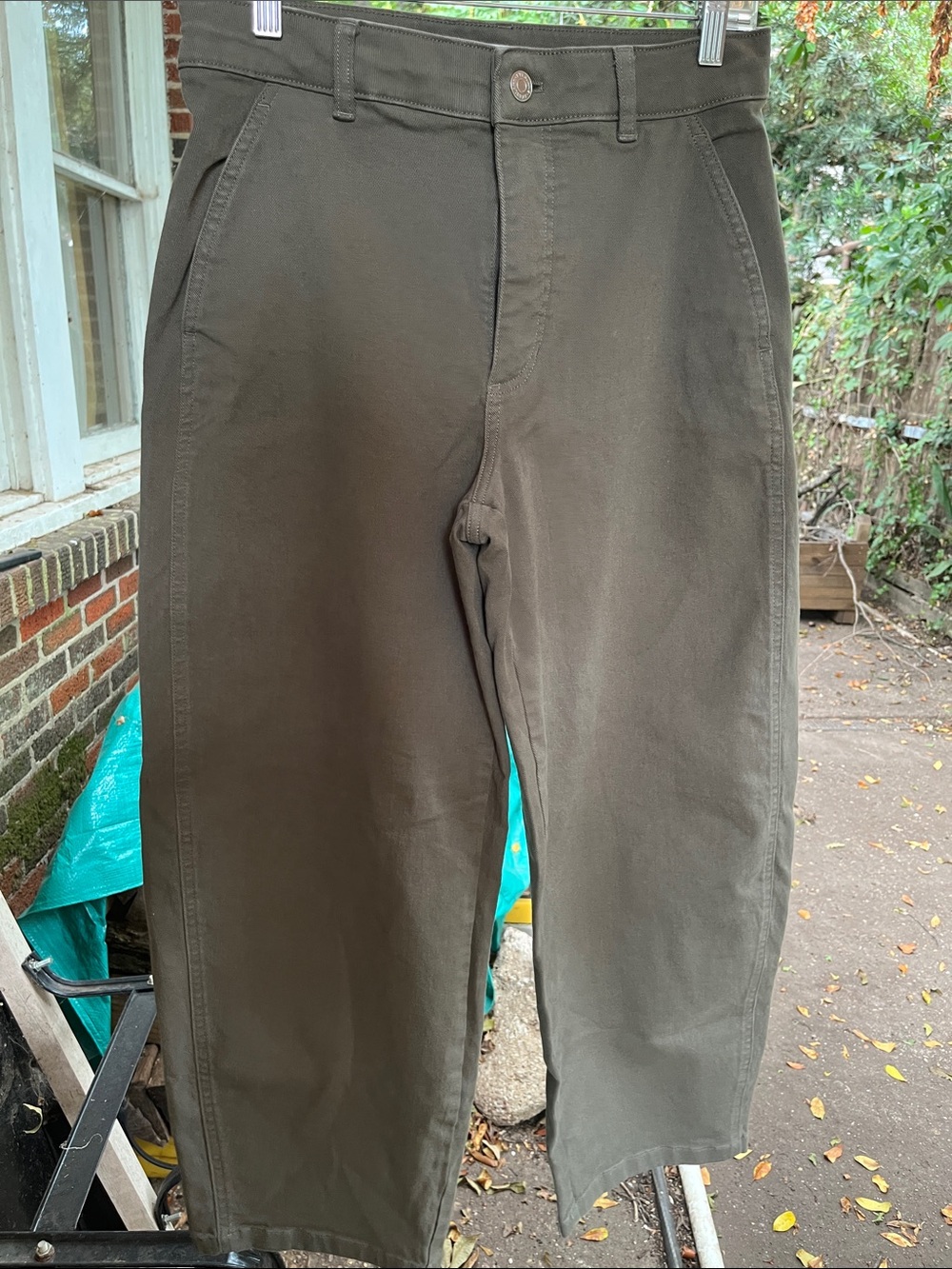 Everlane Arc or Curve barrel style Pants 8R